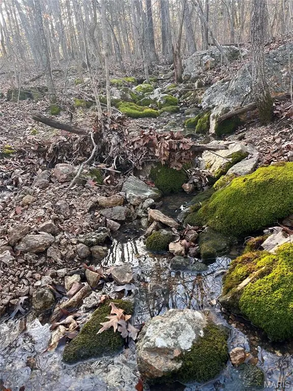 Tract 1 Dusty Road, Cadet, MO 63630