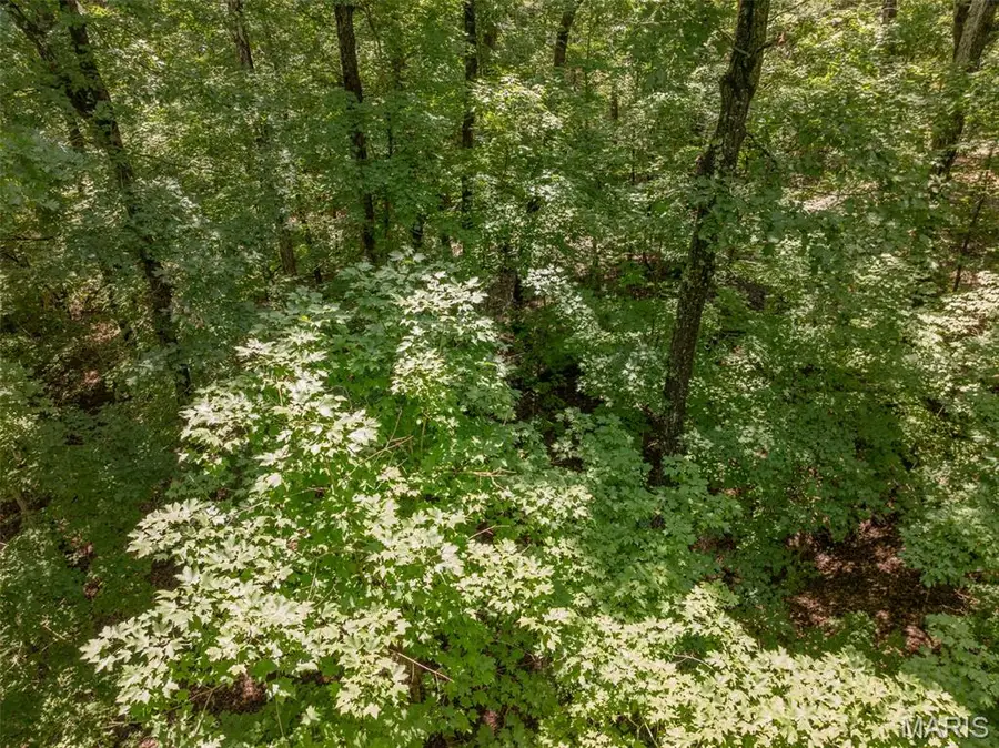 2625 Grendel Drive, Innsbrook, MO 63390 - Image #3