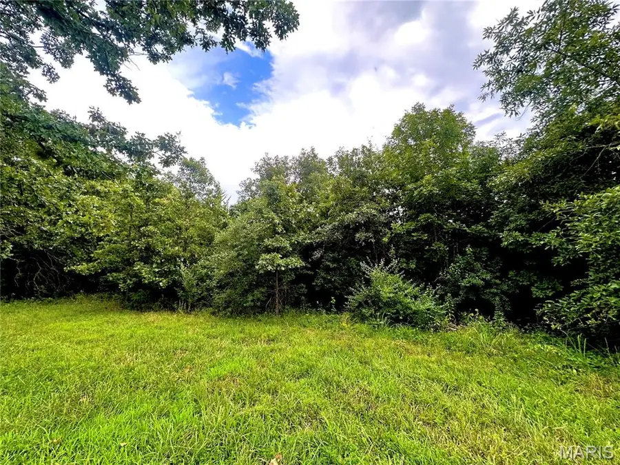 000 Co Rd 4180 Lot 1, Salem, MO 65560 - Image #2