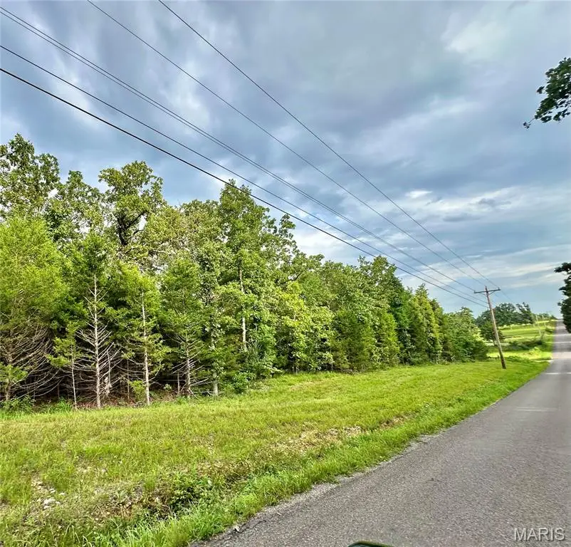 000 Co Rd 4180 Lot 4, Salem, MO 65560 - Image #1