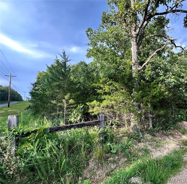 000 Co Rd 4180 Lot 4, Salem, MO 65560 - Image #3