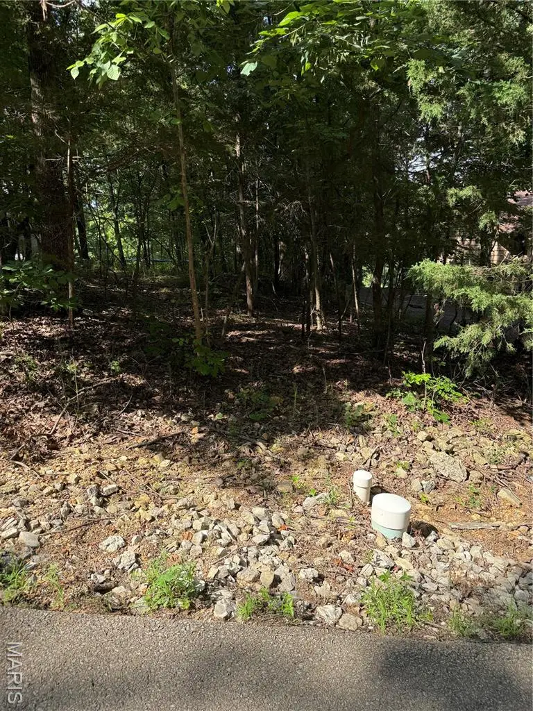 9718 Magnolia Drive, Hillsboro, MO 63050 - Image #2