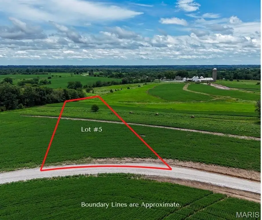 232 Autumn Hallow Ct, Old Monroe, MO 63369 - Image #1