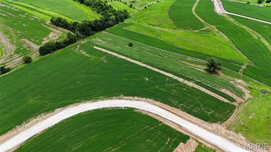 244 Autumn Hallow Ct, Old Monroe, MO 63369 - Image #3