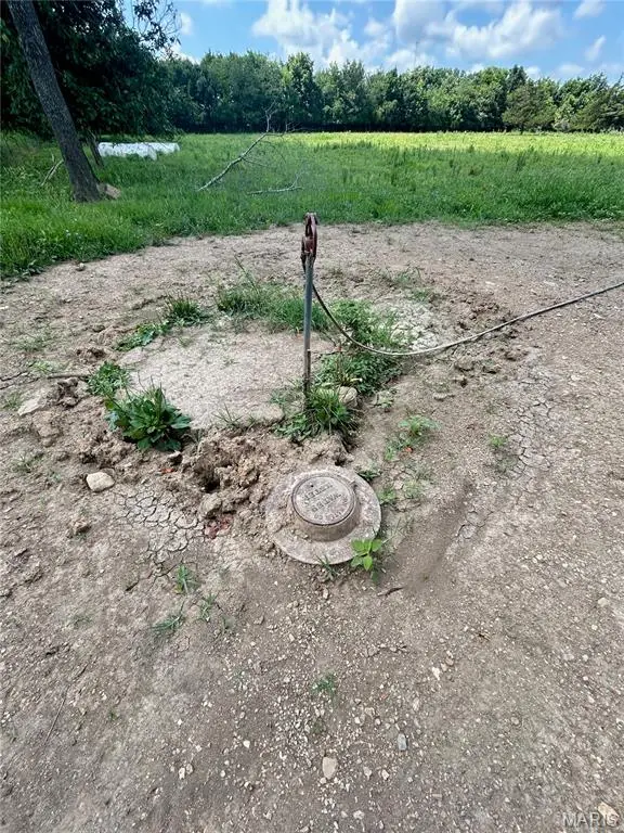 TBD Walker Avenue, Licking, MO 65542 - Image #3