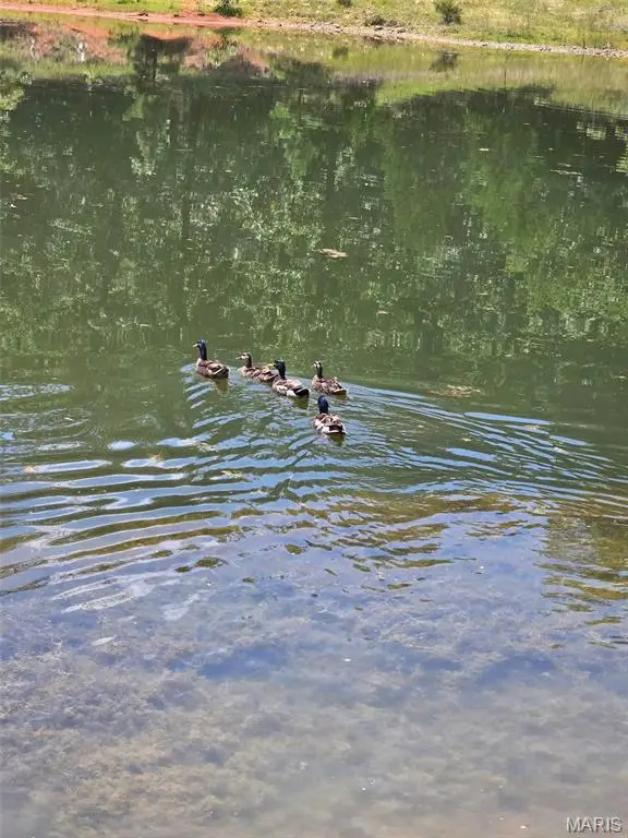 15089 State Highway 142w, Gatewood, MO 63942 - Image #3