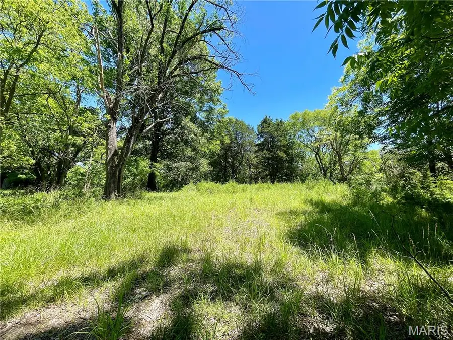 2558 Frederitzi Lane, Arnold, MO 63010 - Image #3