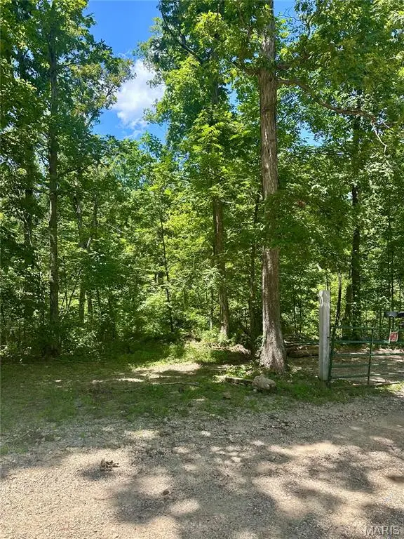 2518 N Bend Loop, Central, MO 63084 - Image #3