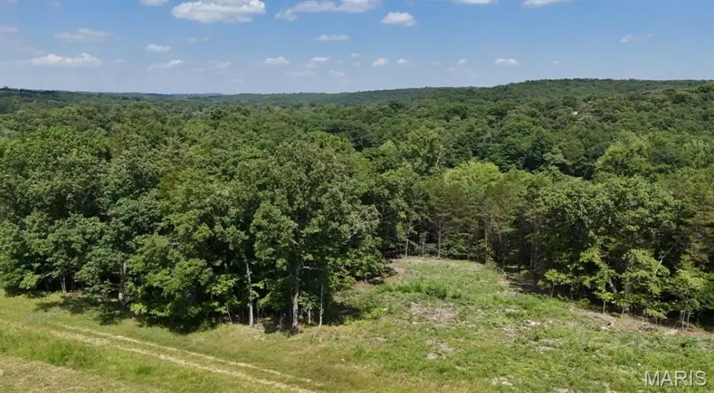 8 Tanglefoot Farms Road, Festus, MO 63028 - #1