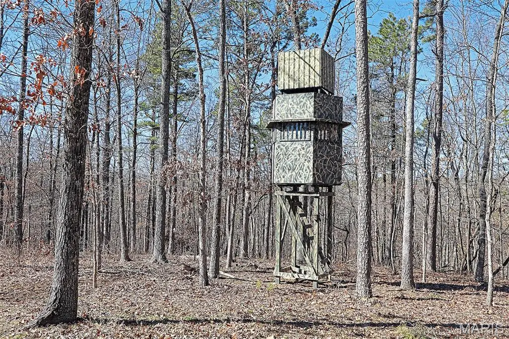 37801 State Hwy Hh, Patton, MO 63662 - Image #1