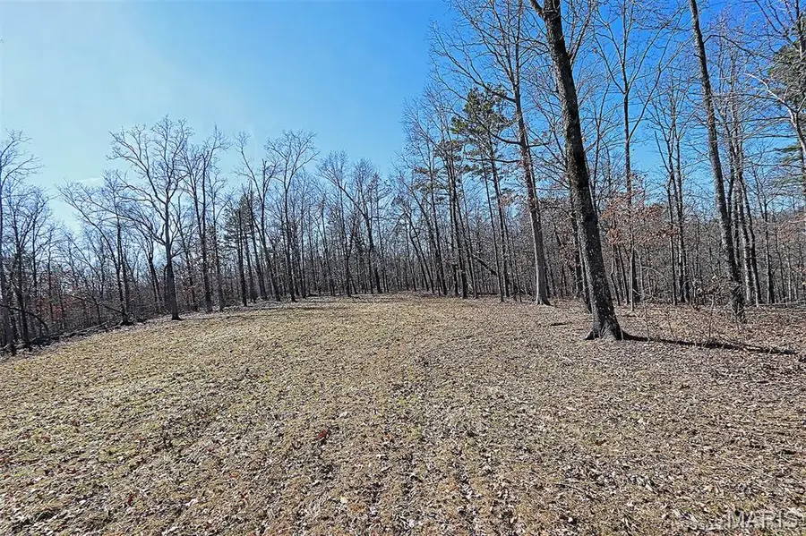 37801 State Hwy Hh, Patton, MO 63662 - Image #2