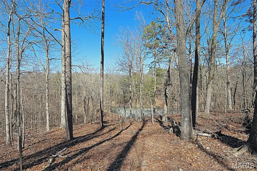 37801 State Hwy Hh, Patton, MO 63662 - Image #3