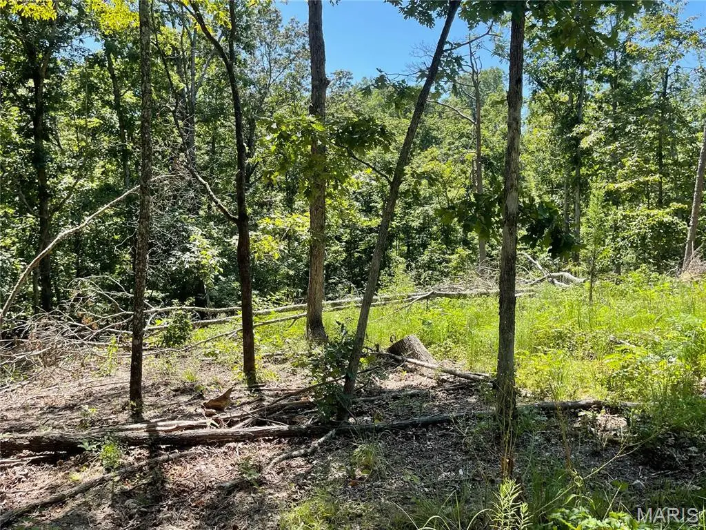 000 County Road 456, Piedmont, MO 63957 - Image #1