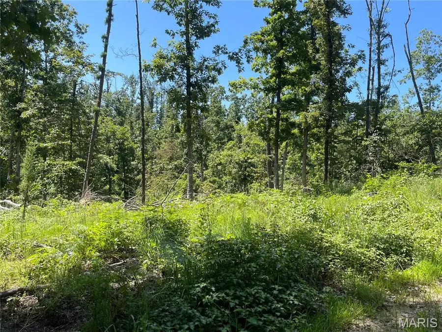 000 County Road 456, Piedmont, MO 63957 - Image #2