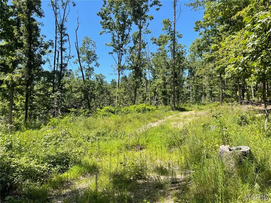 000 County Road 456, Piedmont, MO 63957 - Image #3