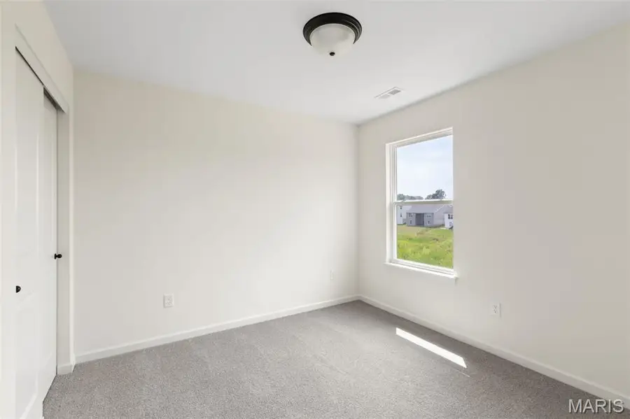 119 Day Lily Lane, Wentzville, MO 63385 - Image #3