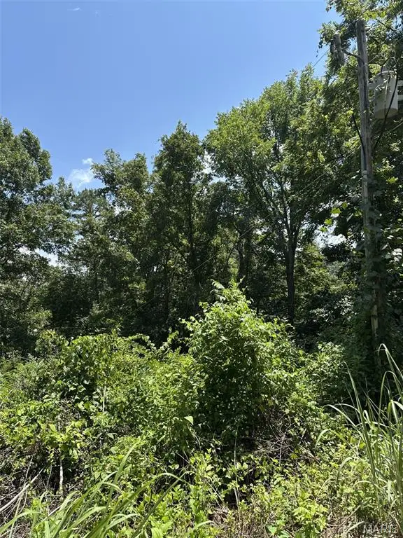 Plat 9 Lot 15, 19 And 22 Deer Run, Van Buren, MO 63965 - Image #1