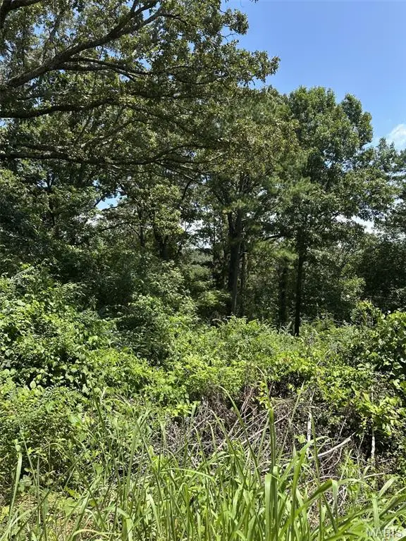 Plat 9 Lot 15, 19 And 22 Deer Run, Van Buren, MO 63965 - Image #2