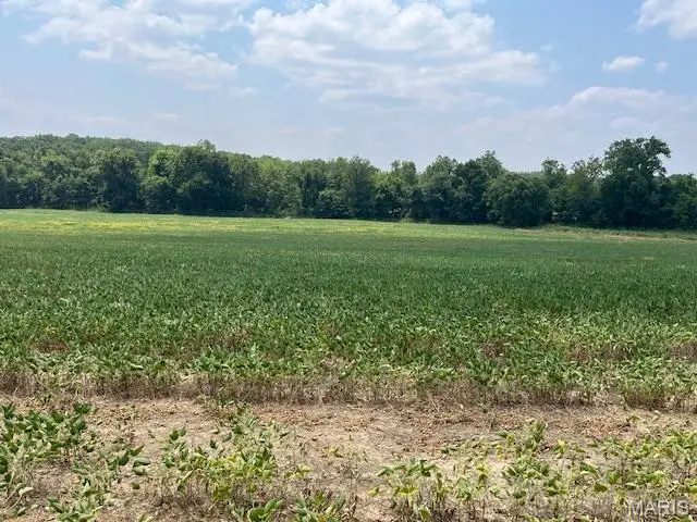 56 ACRES Elk Head Road, Bland, MO 65014 - Image #2