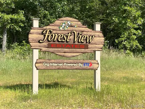 TBD Forest View, Steelville, MO 65565