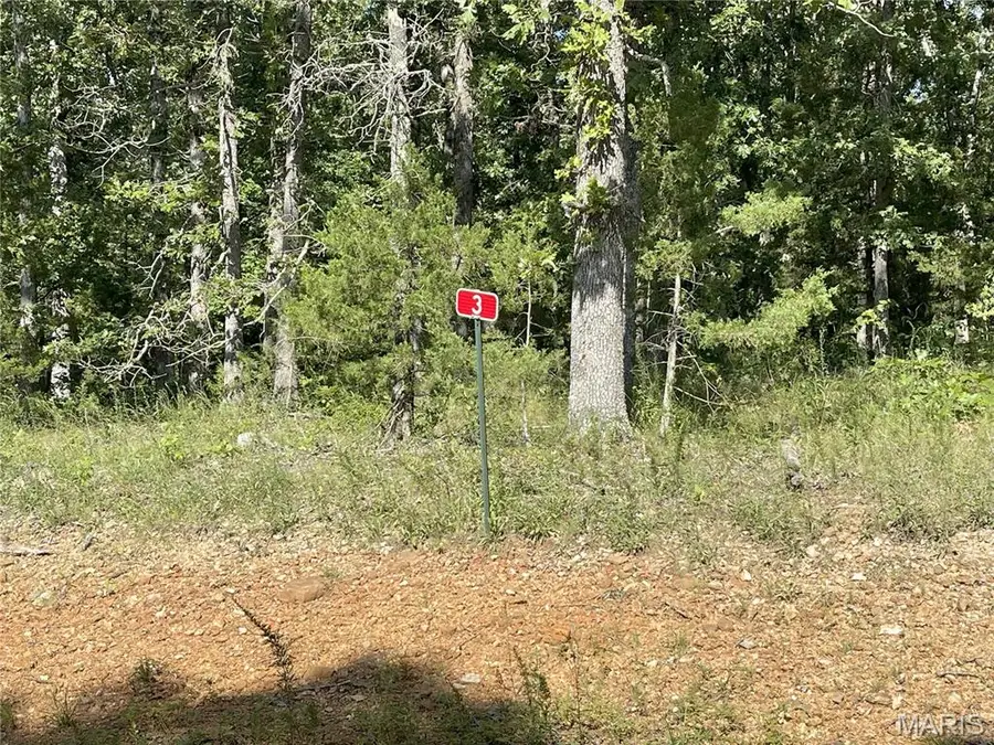 TBD Forest View, Steelville, MO 65565 - Image #2