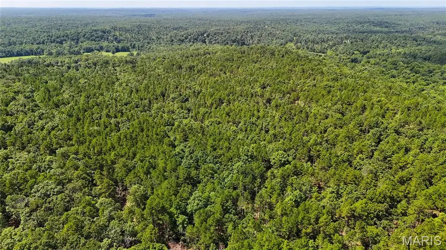 000 Nn Highway, Grandin, MO 63943 - Image #2