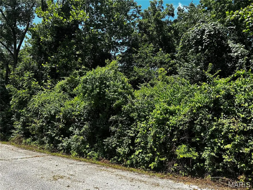 204 Incline Village (cypress Ct), Foristell, MO 63348 - Image #1