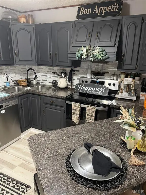 519 N Elm Street, Pacific, MO 63069 - Image #2