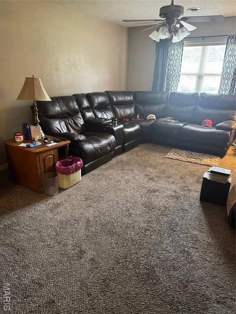 1013 Susan Street, Dexter, MO 63841 - Image #3