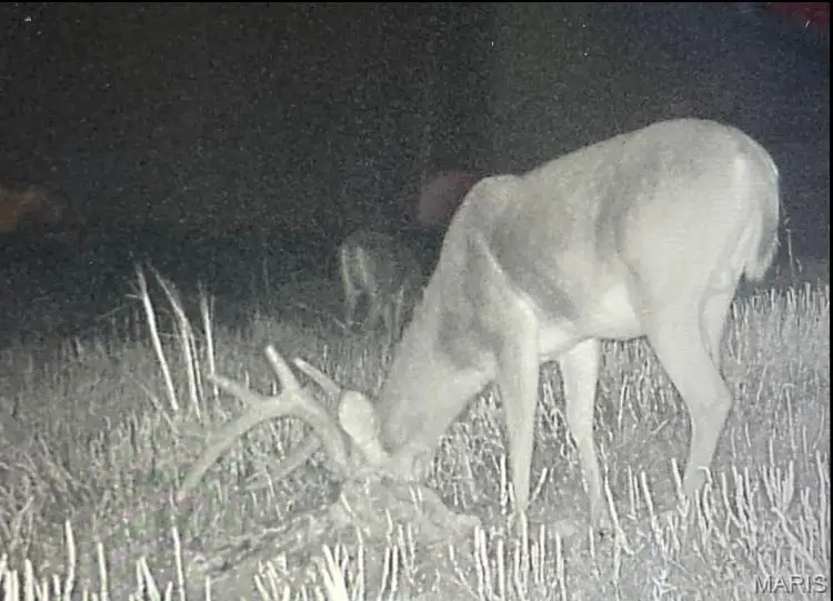 15 N Hwy, Arcadia Township, MO 63656 - Image #2