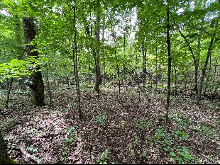 15 N Hwy, Arcadia Township, MO 63656 - Image #3