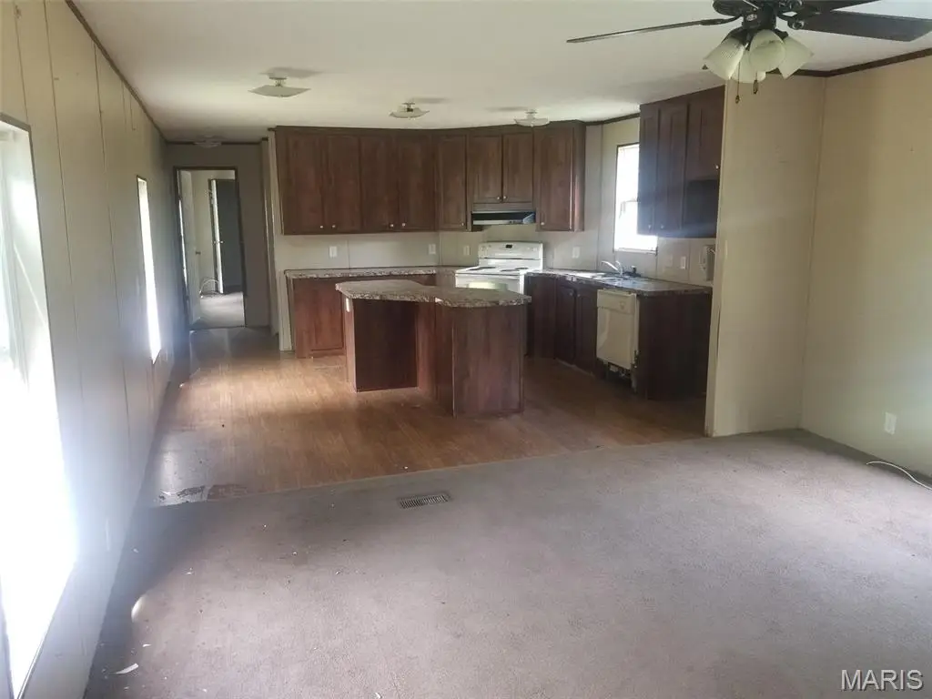 819 Rue Dauphine #817, Bonne Terre, MO 63628 - Image #1