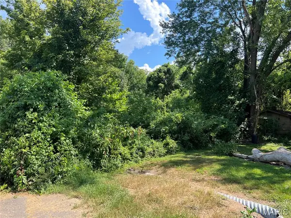 00 Main, Mill Spring, MO 63952