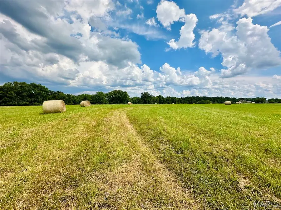 000 Spruce Street, Houston, MO 65483 - Image #3