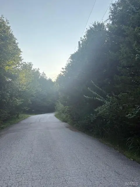 5707 Forest Drive, Raintree Plantation, MO 63050 - Image #3