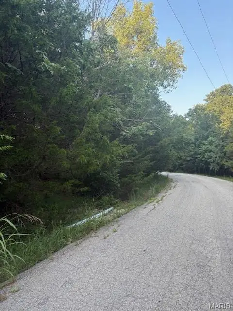 5683 Forest Drive, Hillsboro, MO 63050 - Image #2