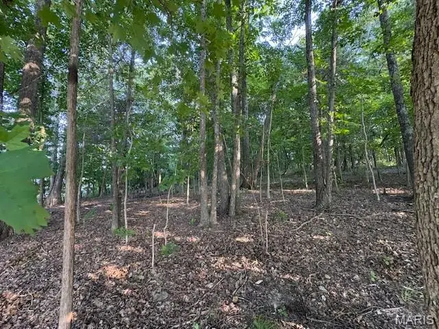 0000 E Vista Drive, Hillsboro, MO 63050 - Image #1