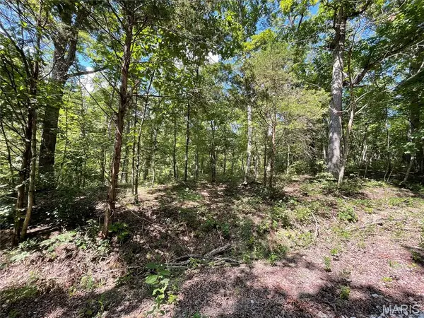 3956 & 3960 Red Bud Drive, Catawissa, MO 63015