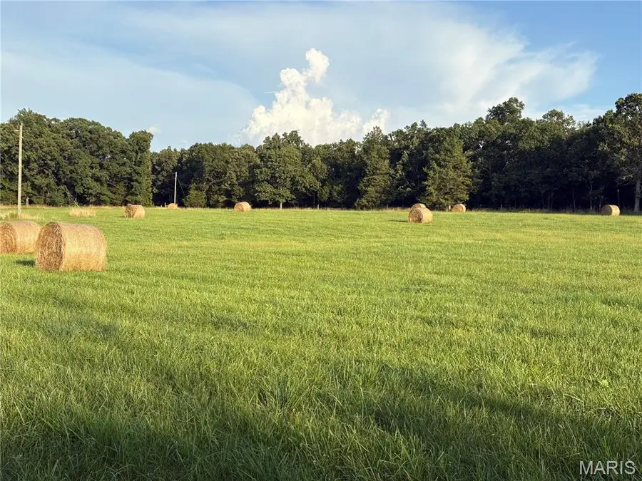 3198 Ssr-p, Cuba, MO 65453 - Image #3
