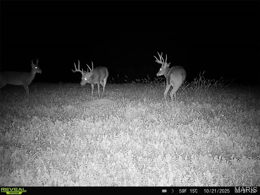 91.11 Acres Lollar Branch Road, Sullivan, MO 63080 - Image #3