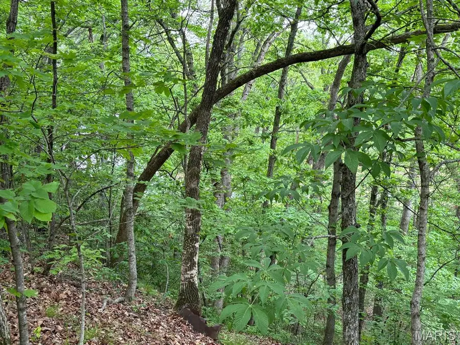 13 Monroe Road 647, Santa Fe, MO 65282 - #3