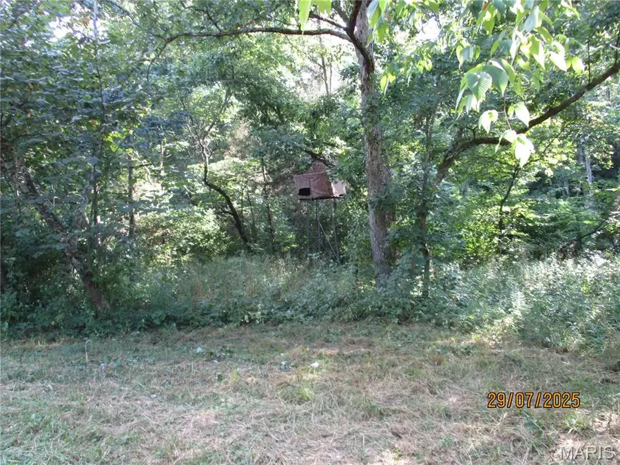 1 Hollingshead Road, Cuba, MO 65453 - Image #3