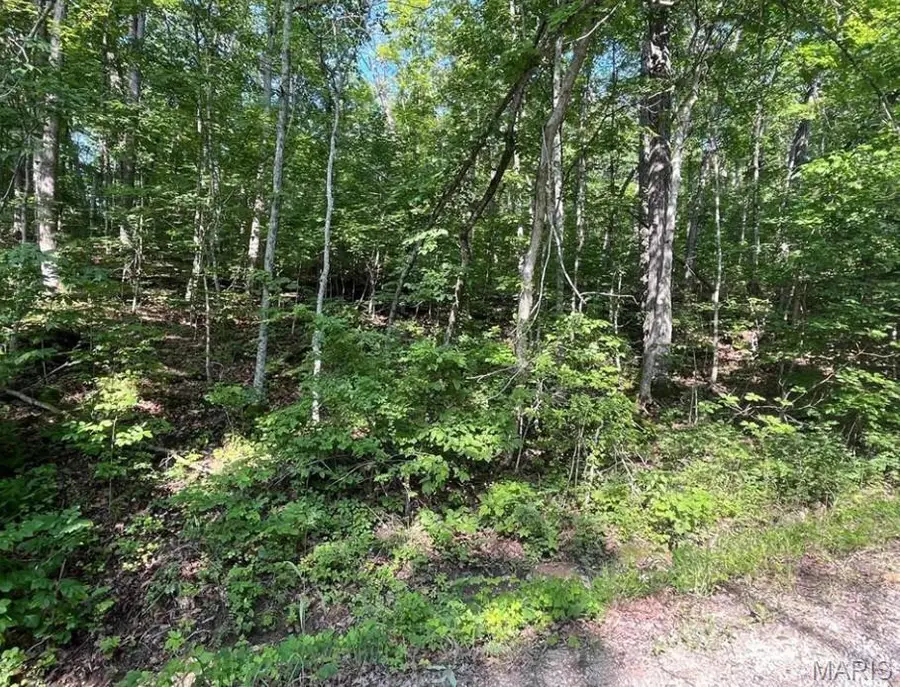 112 Rocky Ridge Drive, New Florence, MO 63363 - Image #3