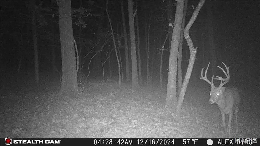 0 Sunset Shores Ln, Adair, MO 65324 - Image #1