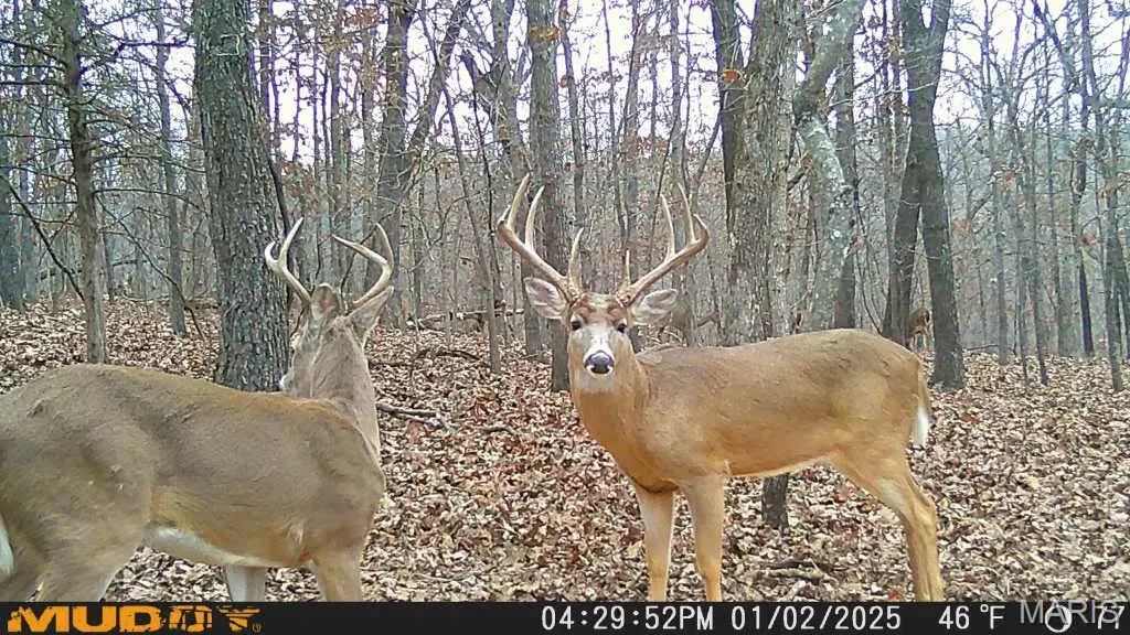 0 Bayberry Ln, Adair, MO 65324 - Image #1