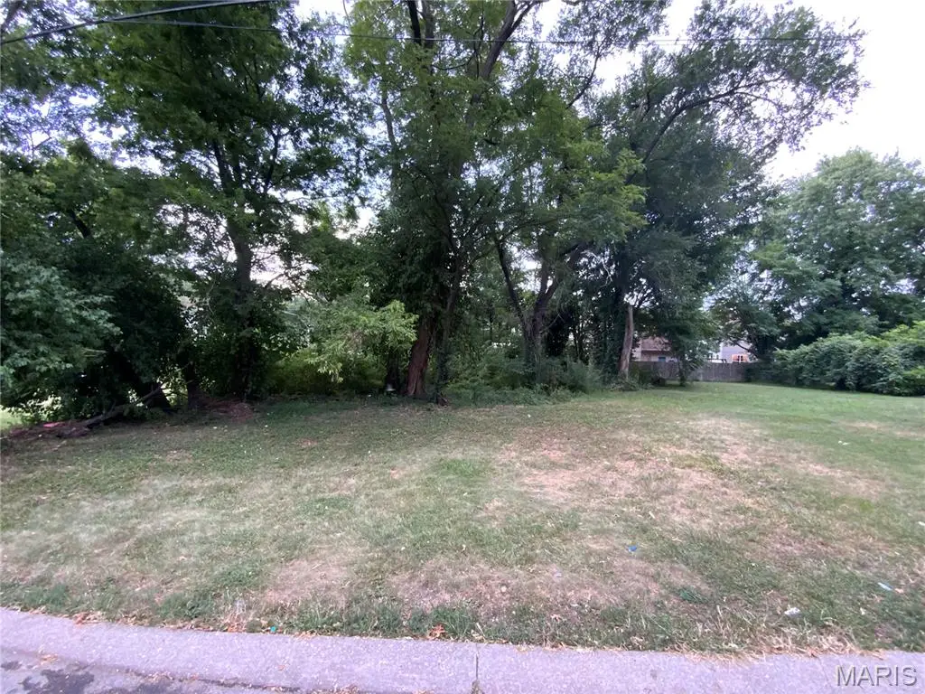 322 Chicago Street, Kirkwood, MO 63122 - Image #1