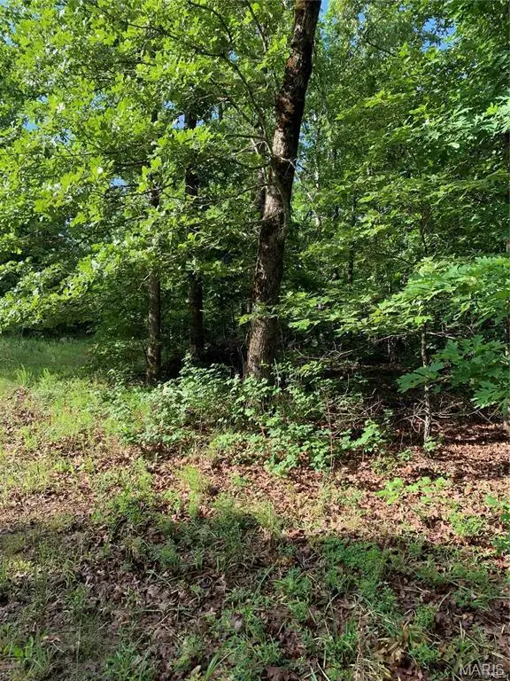 0 Highway 160w-13, Doniphan, MO 63935