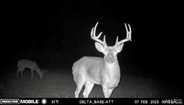 382 Furnace Creek Road, Potosi, MO 63664 - Image #3