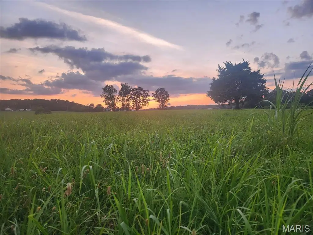 Tract 10 Nikon Drive, Phillipsburg, MO 65722 - Image #1