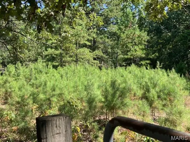 1 off Bollinger County 908, Union, MO 63662 - Image #3